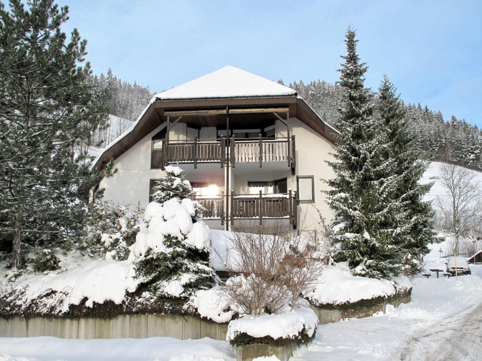 Apartment Sonnenblick II By Interhome Todtnauberg Exterior foto