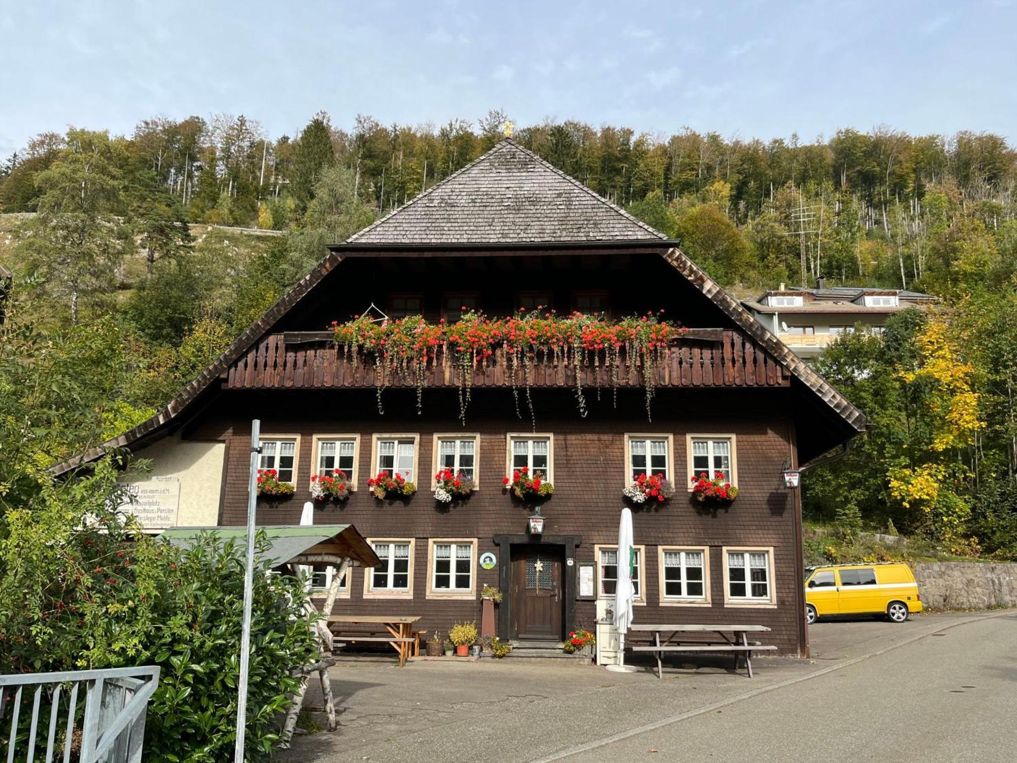 Apartment Sonnenblick II By Interhome Todtnauberg Exterior foto