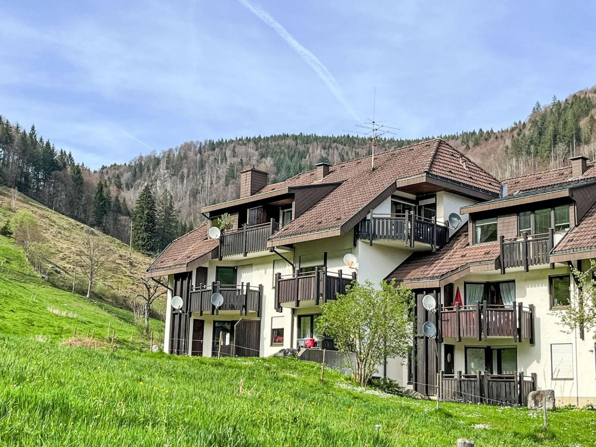 Apartment Sonnenblick II By Interhome Todtnauberg Exterior foto